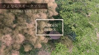 さよならスモークツリー〜13年間ありがとう〜｜手間いらずの庭｜シンボルツリー｜庭木｜庭のある暮らし｜vlog