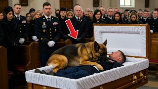 葬儀でK9犬が退役軍人の体に飛び乗った――その後に起こったことは皆を涙させた…