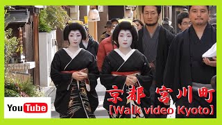 【速報版/祇園/舞妓】何と2人同時デビューで外国人観光客もビックリ😲❗宮川町🍁美しい芸妓さんのお披露目とご挨拶まわり😊😺 (とし菜希さん＆ふく苑さん襟替え) 12 pm 2023 KYOTO No59