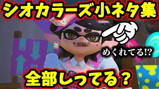 全部しってたらすごい！シオカラーズの小ネタを集めました！【スプラトゥーン】