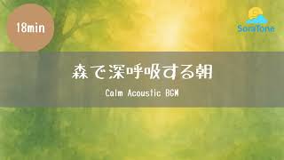 森で深呼吸する朝｜Calm Acoustic BGM（18min）