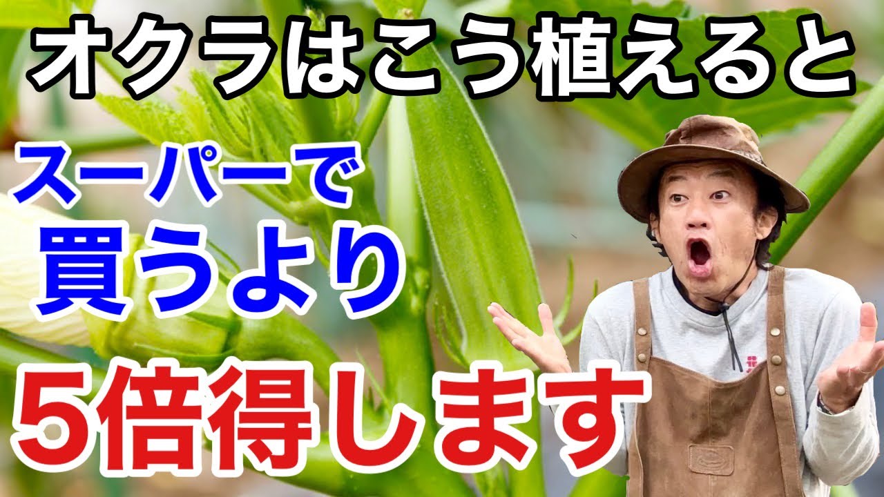 サムネ