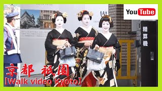 【通常版/祇園/舞妓】美しく上品な佇まいに外国人観光客も大感激😲❗祇園甲部🍁新年恒例の「始業式」🎌🎍😺沢山の舞妓さんと芸妓さん達に出会いました🎵😊 at 12 pm 2024 KYOTO No.68