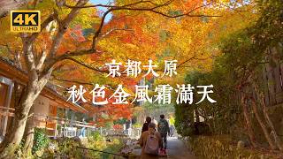 【京都VLOG EP07】秋色の京都！大原五寺紅葉の饗宴一日ツアー | 三千院、実光院、宝泉院、来迎院、寂光院、銀座ライオン