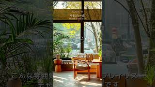 【今日の一曲 2025/6/15】アコースティックギターが奏でる今日の音色│One Acoustic Tune to Color Your Day