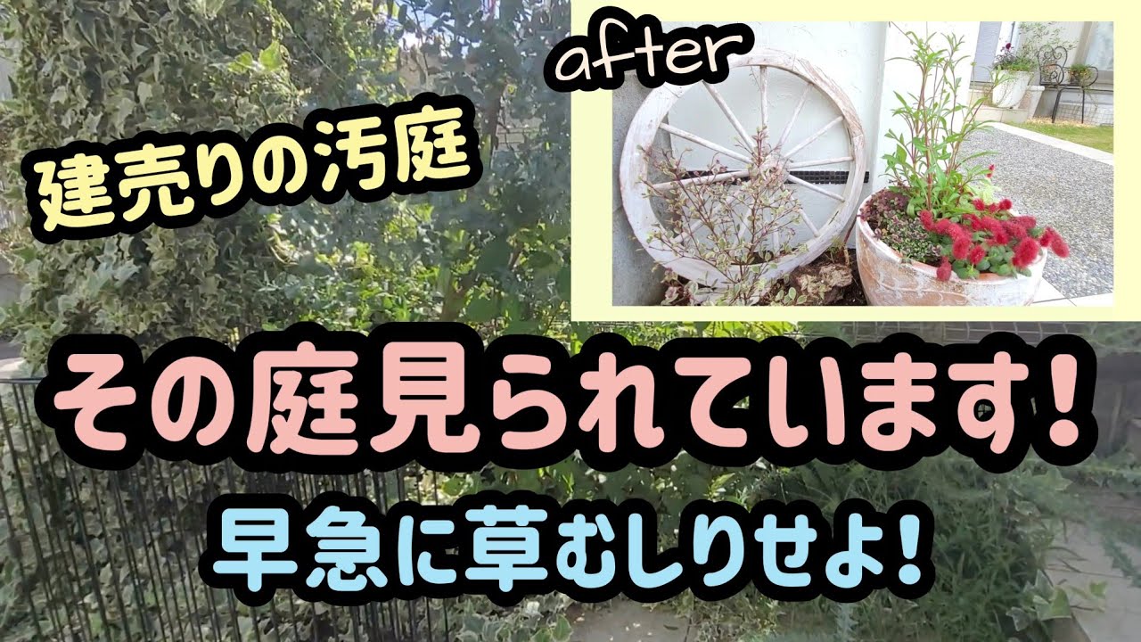サムネ