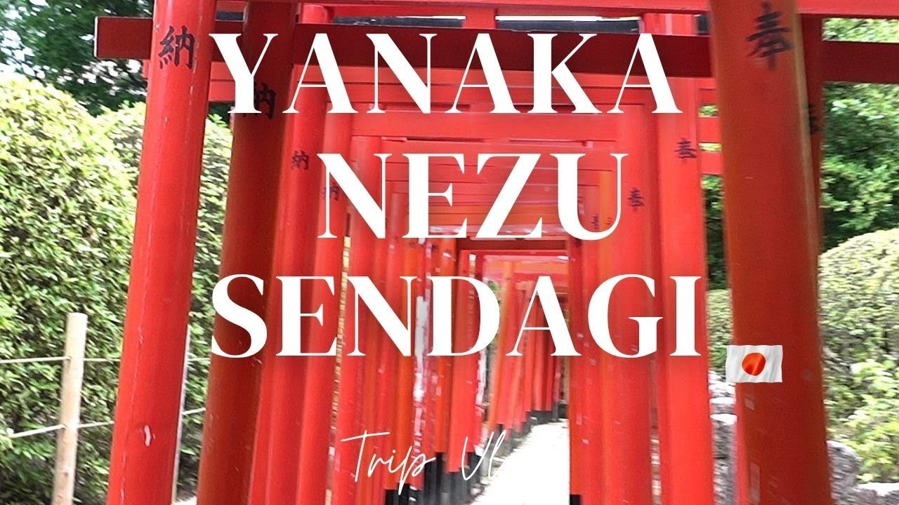 サムネ
