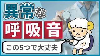 【この5つで十分】異常な呼吸音を呼吸器ドクターが解説