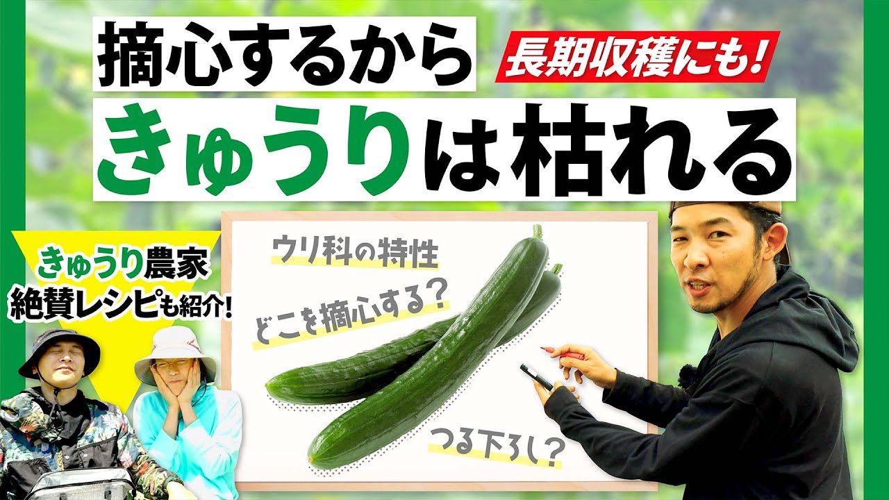 サムネ