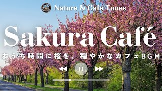 Relaxing Bossa Nova at a Sakura Café, Enjoy a Calm Spring Moment ☕🌸 (Study, Work, Reading, Chores)