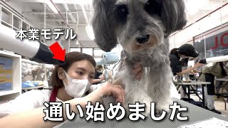 【突然の報告】今日は試練の日📒