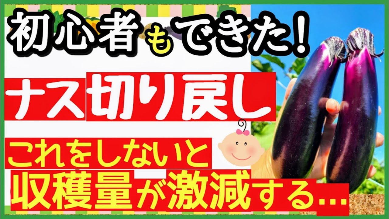サムネ