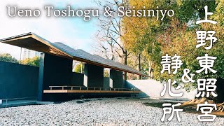 【神社巡り】上野恩賜公園内の上野東照宮へ参拝 ご祭神は徳川家康公 48基の銅燈籠など重要文化財は見ごたえあり
