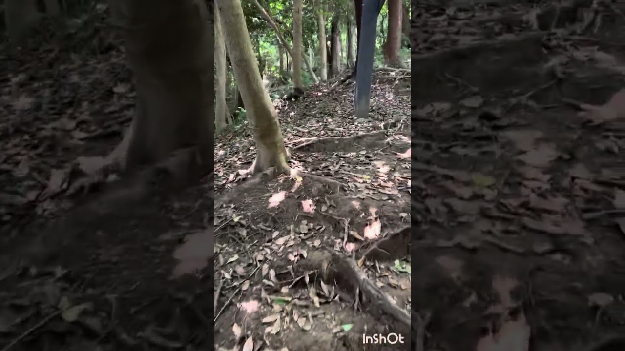 サムネ