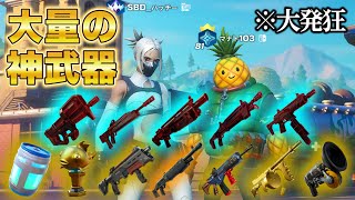 配信中のリロードでカオスすぎて大発狂ｗｗｗ