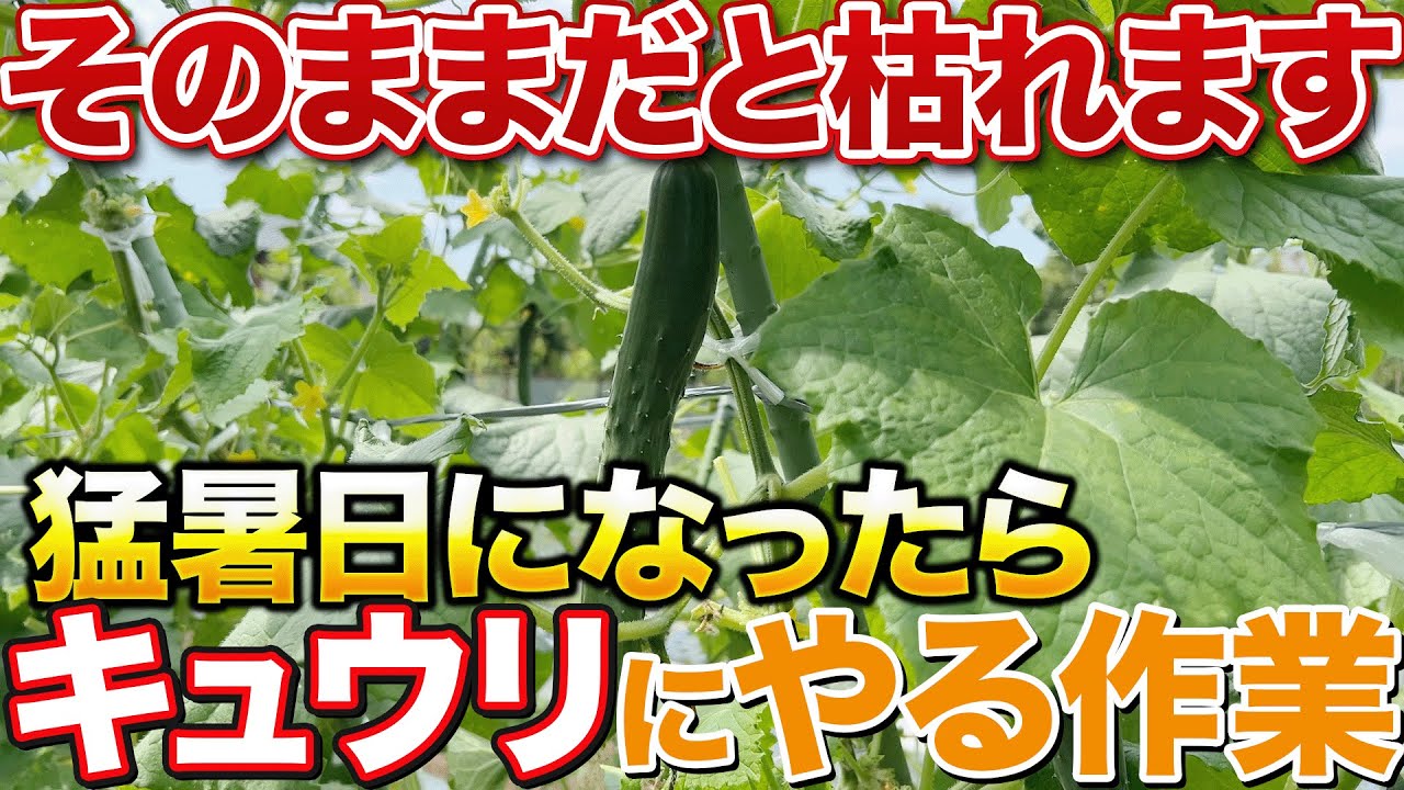 サムネ