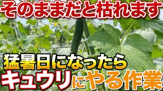 【暑さ注意報！】35℃以上の猛暑日になったらやって欲しい作業教えます！