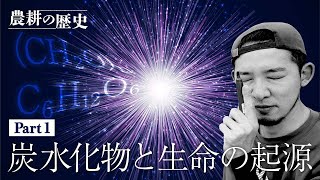 【決定版】農耕の歴史① 【絶対に知っておくべき炭水化物の世界】生命の起源編