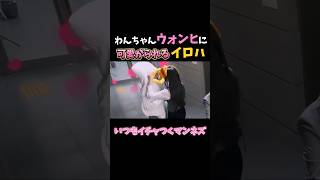 すぐにイチャイチャしだすマンネズ #illit #shorts
