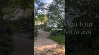 手間いらずな庭【My garden tour】#ガーデニング #スモークツリー #シンボルツリー #庭のある暮らし