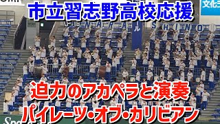 【習志野高校応援】迫力のアカペラと演奏！パイレーツ•オブ•カリビアン【U18野球日本代表壮行試合】