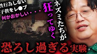 【閲覧注意】禁断のマウス実験「UNIVERSE 25」人類滅亡を示唆する理由とマウスの結末が恐ろし過ぎる【岡田斗司夫切り抜き/切り取り/としおを追う/都市伝説/楽園実験】