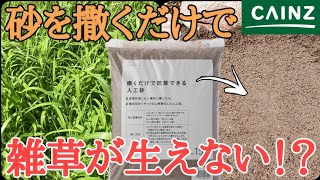 【雑草対策】カインズの撒くだけで防草できる砂は本当に雑草が生えないのか検証してみた