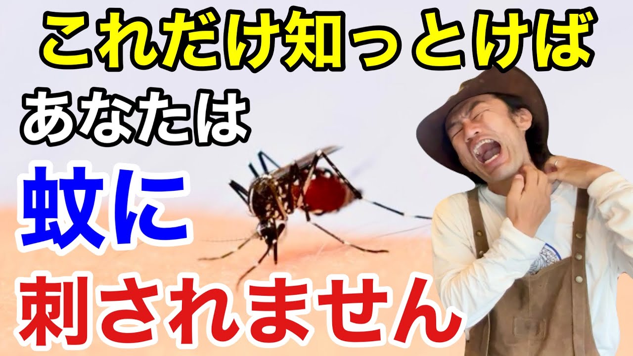 サムネ