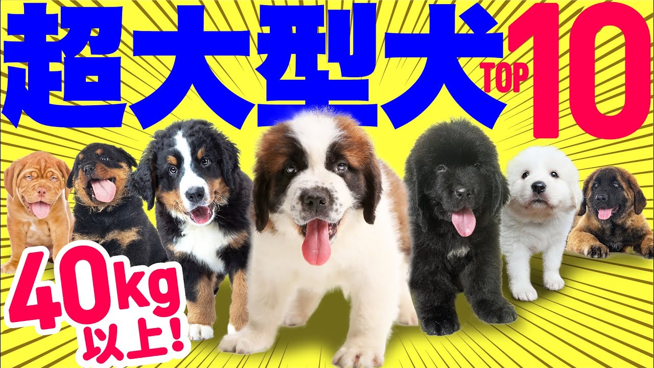 サムネ