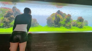 [4K] Take a walk with her at the Sumida Aquarium at Tokyo Sky Tree. The penguins were cute