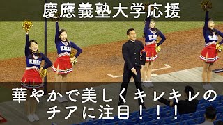 【華やかで美しくキレッキレの慶応チアリーダーに注目！】慶応義塾大学 応援 2回表【明治神宮野球大会】