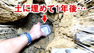 生き物がひそむ穴にトラップを1年間埋めてみた