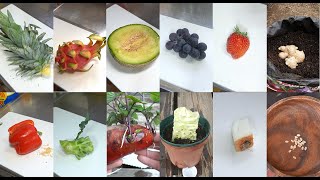 【再生栽培総集編】全43種類の再生栽培(リボベジ)のやり方/ This video will tell you everything about regrowing vegetables