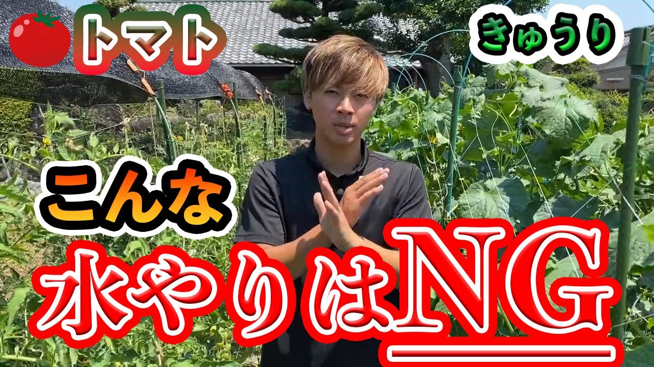 サムネ