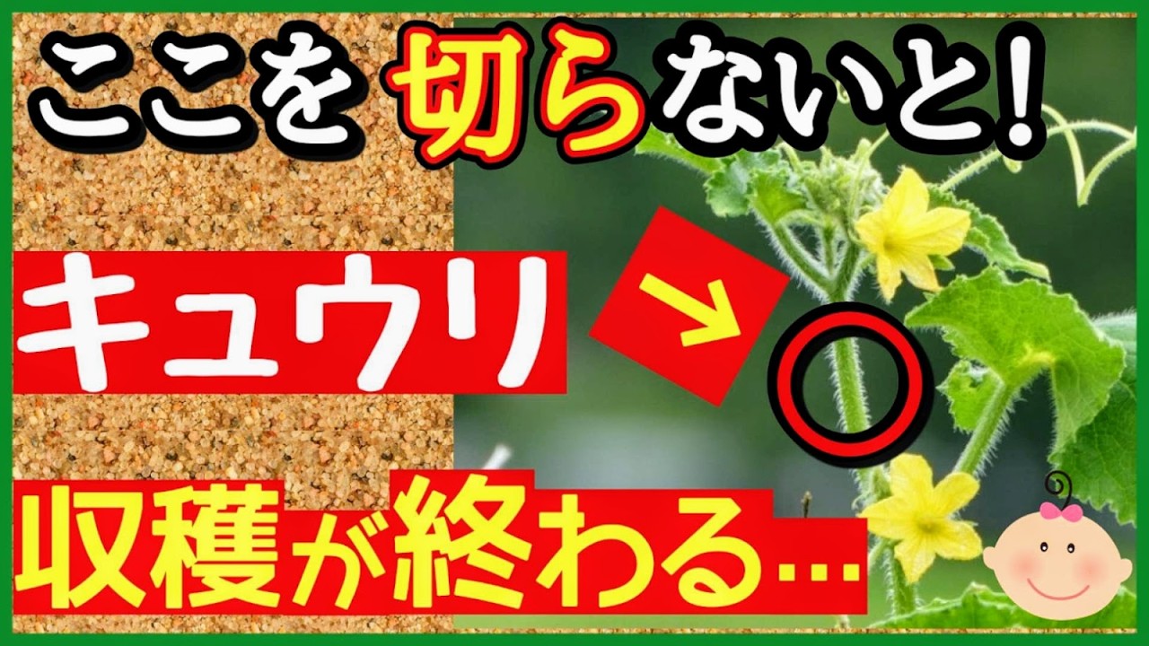 サムネ