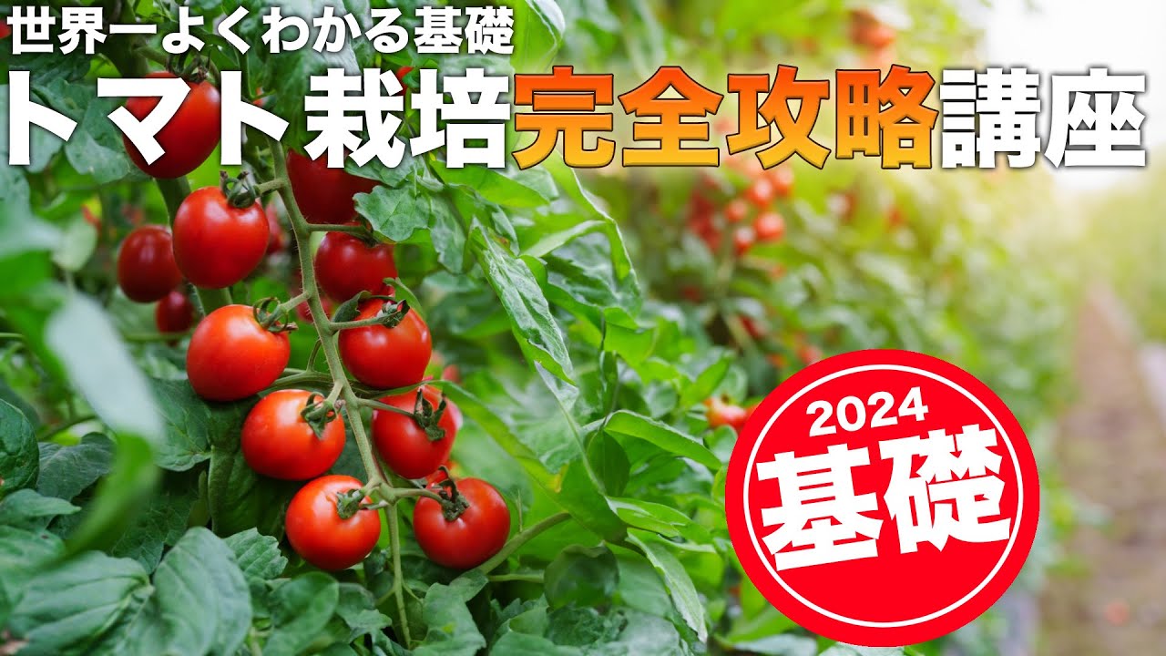 サムネ