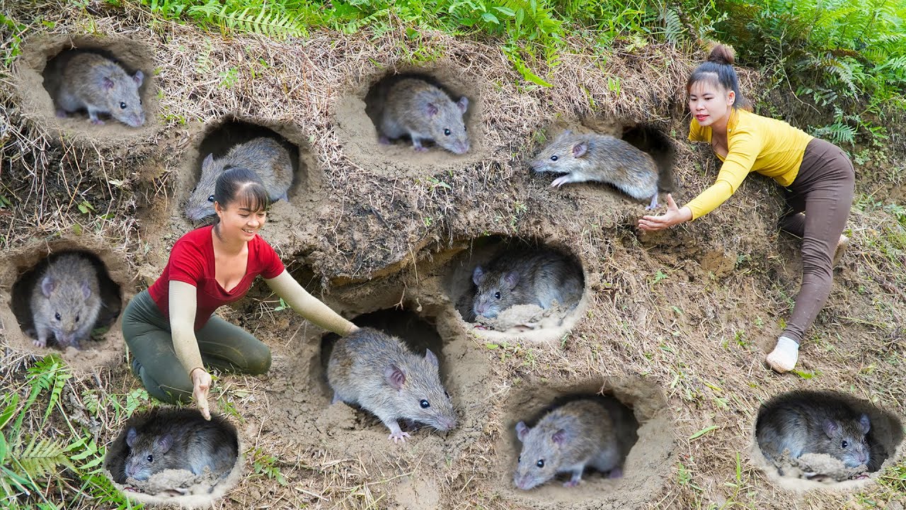 サムネ