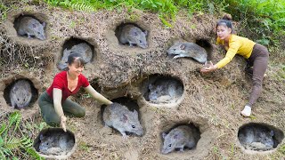 Catch Field Mice, Many Fish, Harvest Chicken Egg...Goes To Countryside Market Sell / Ly Tieu Toan