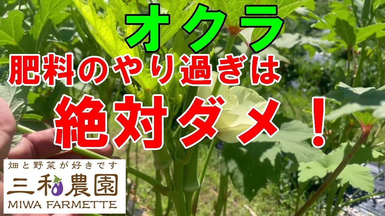 サムネ