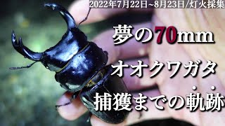 第8夜【伝説回】「夢の70mm天然オオオクワガタ捕獲までのキセキ」【ライトトラップ/昆虫採集/2022夏休み】