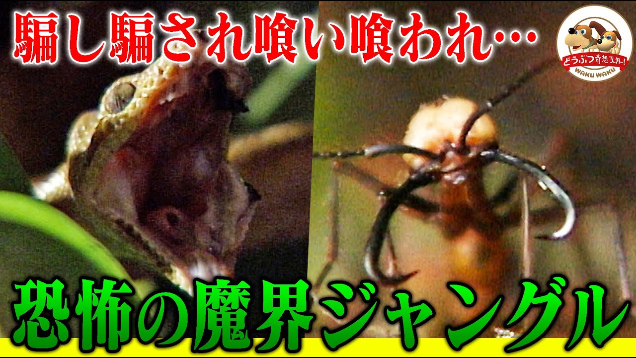サムネ