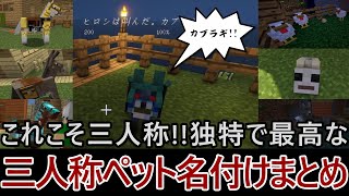 【三人称マイクラ】これこそ三人称!!独特で最高な面白ペット名付けまとめ【三人称切り抜き】