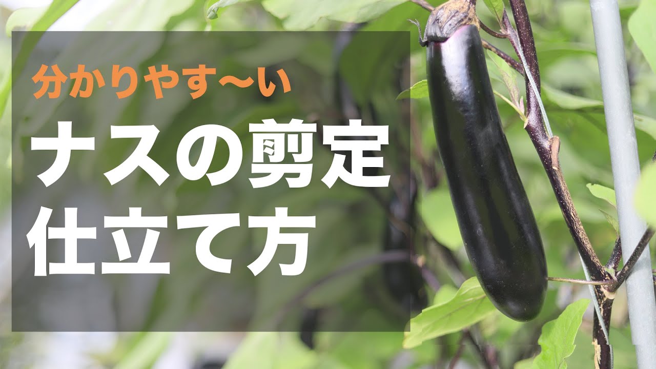 サムネ