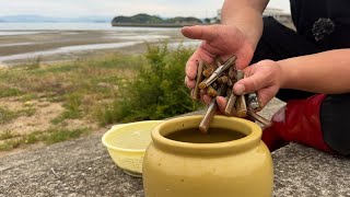 掘りたて生きてるマテ貝を醤油で漬けしてみた。