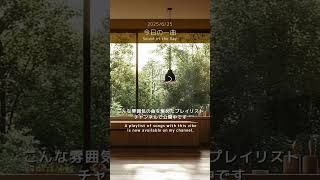 【今日の一曲 2025/6/25】アコースティックギターが奏でる今日の音色│One Acoustic Tune to Color Your Day