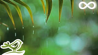 心が落ち着く音楽と雨音 - 美しいピアノ音楽、BGM、睡眠用音楽
