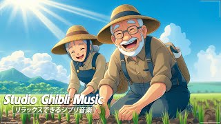 【Relaxing Ghibli】 ジブリ メドレー🔱ピアノ ジブリコレクション🔱 ジブリのベストピアノ曲 🔱 魔女の宅急便, となりのトトロ, 千と千尋の神隠し, 崖の上のポニョ