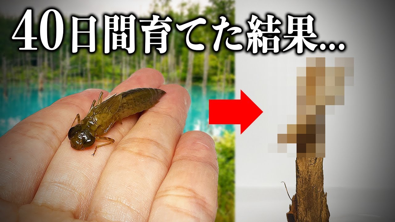 サムネ
