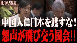 【暴露激震】中国人土地買収は無効だ！岩屋の売国政策に怒号噴出‼【国会・梅村みずほ・岩屋外務大臣】