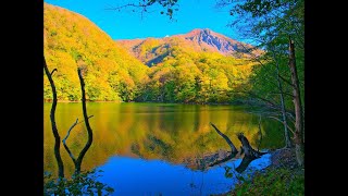 🍁【驚きの絶景】白神山地・十二湖を秋にほぼ全踏破してみた！【青森・世界遺産トレッキング】